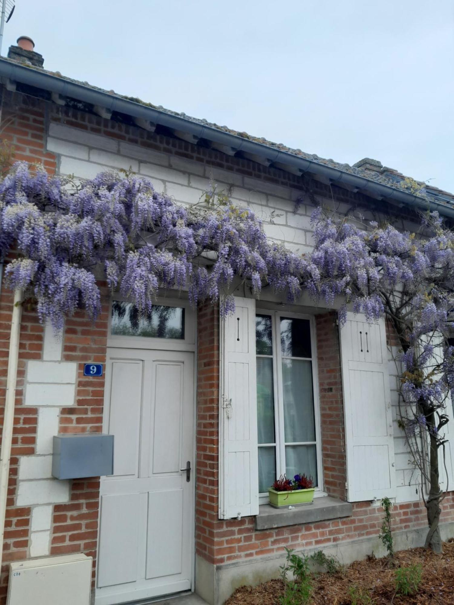 Gite, Maison A La Campagne Ardennes, Aisne,Marne Le Thour Pokoj fotografie